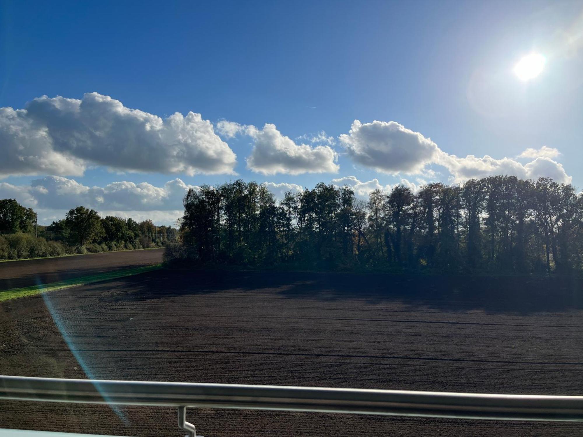 Schoenes Penthouse Duemmer See - Lembruch Hüde エクステリア 写真